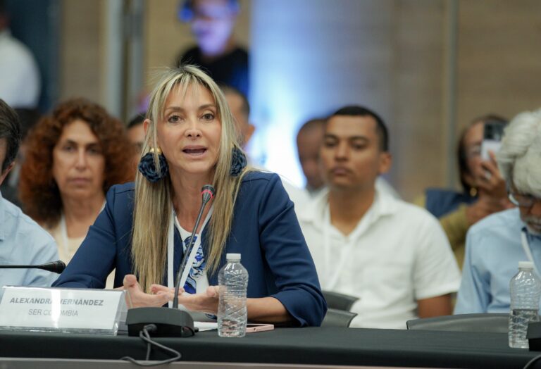 Alexandra Hernández, presidenta ejecutiva de la asociación, se refirió a la necesidad de agilizar trámites para la entrada de proyectos renovables que garanticen la seguridad energética del país de cara al 2027.