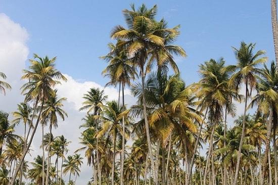 Región Caribe: Clave para la transición energética con recursos naturales y energías renovables